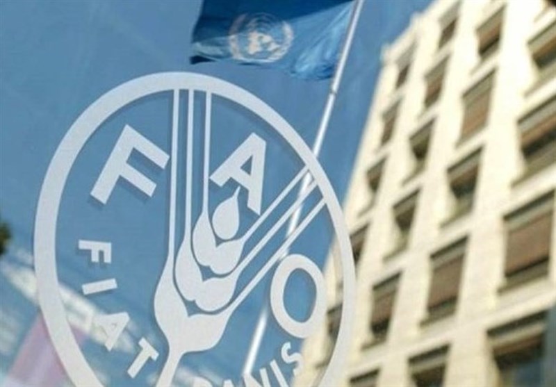 فائو از افزایش قیمت مواد غذایی در ژوئیه خبر داد