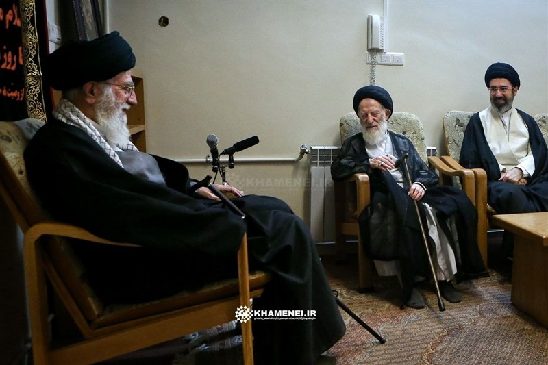 قابی دیده نشده از دیدار رهبر شهید و مرحوم آیت الله شبیری زنجانی+عکس