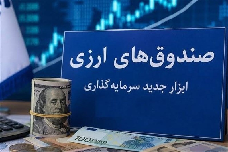 جذب ارزهای راکد مردمی در صندوق‌های ارزی برای 5 سالِ کشور کافی است