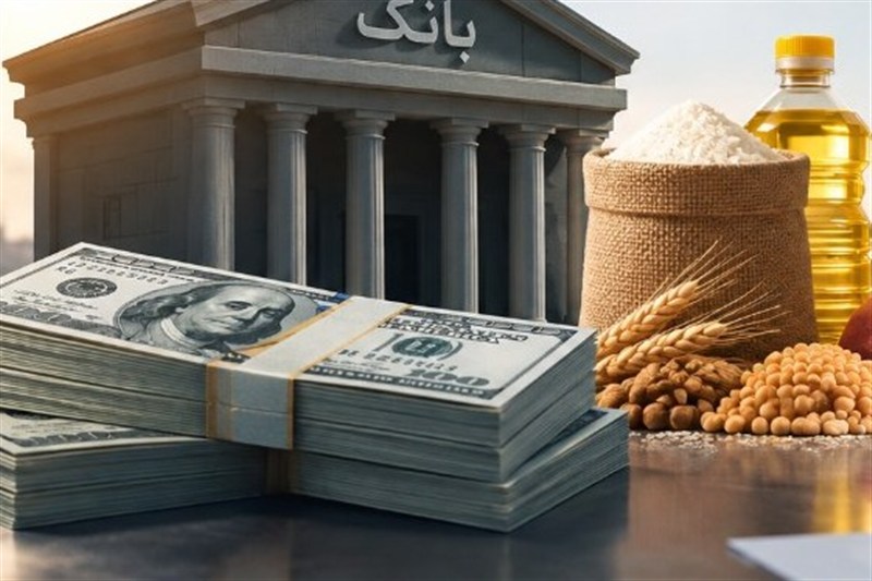 تسهیلات ارزی واردات کالاهای اساسی؛ ریسک نرخ ارز و معمای دموراژ
