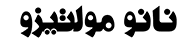 شرکت مولتیزو