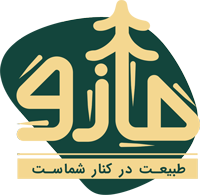 شرکت مازو وود