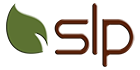 شرکت پارند رستار