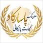 هلدینگ تجارت بازرگانی پاسارگاد