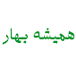 همیشه بهار تهران