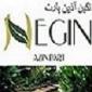 شرکت نگین آذین پارت